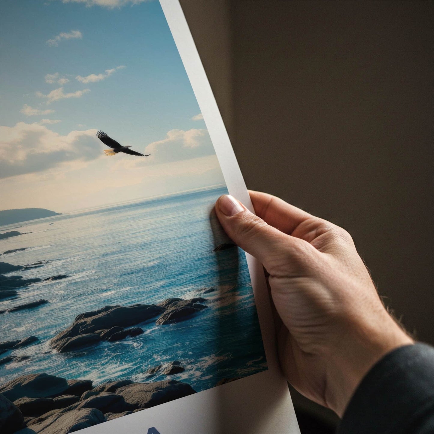 Acadia Poster - Maine Travel Art - Coastal Eagle Flight Home Decor