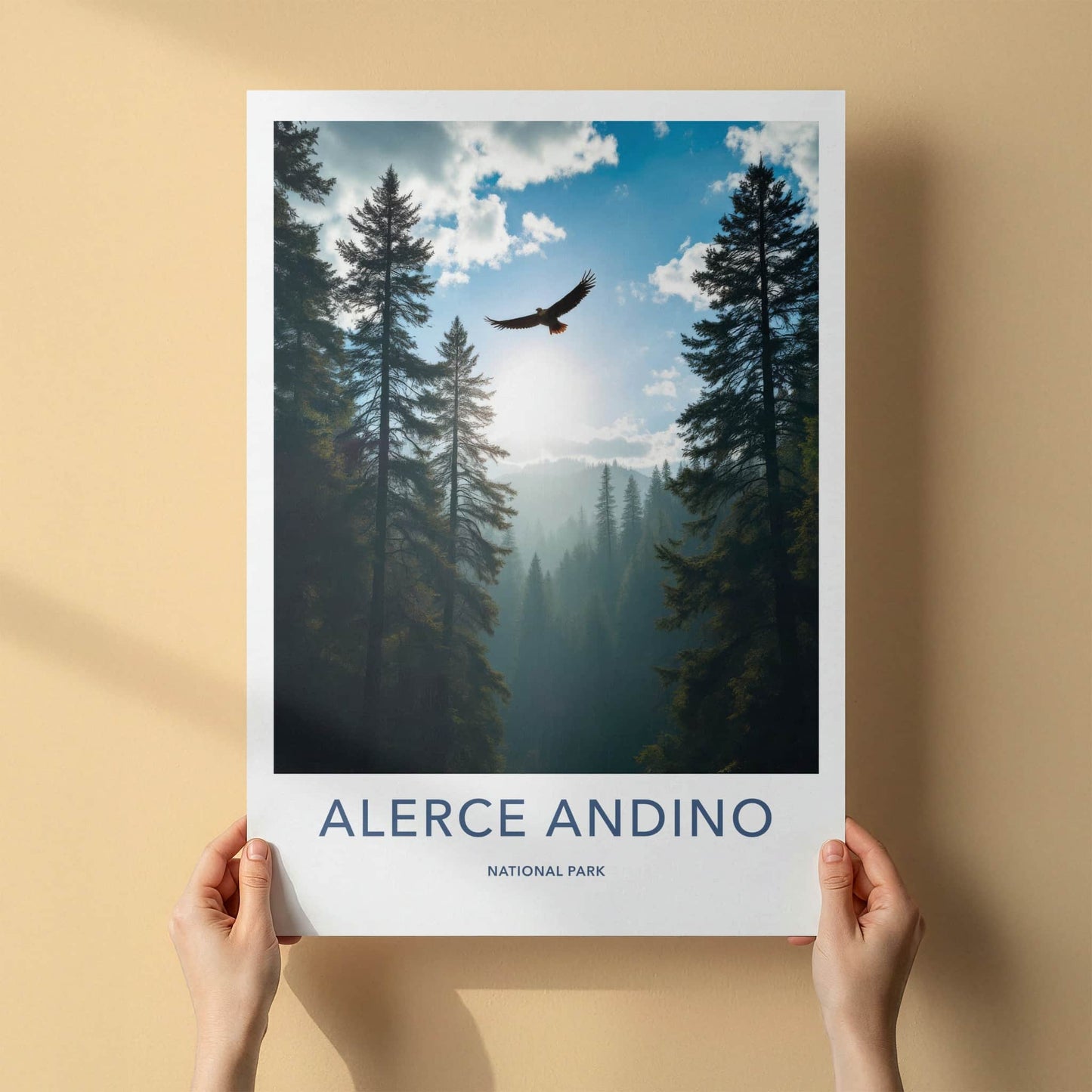 Alerce Andino National Park Poster - Chile Travel Print - Eagle Forest Misty Wall Decor