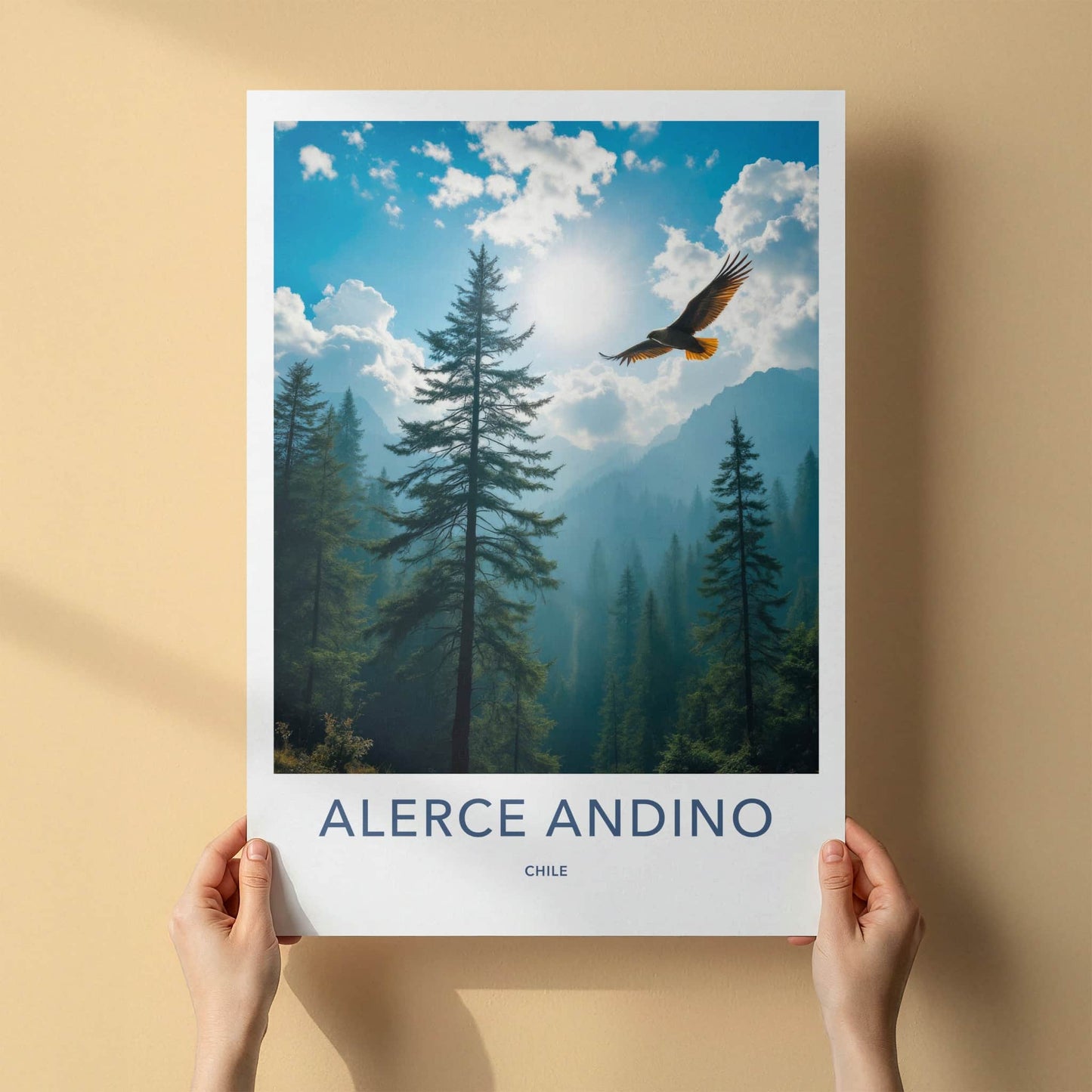Alerce Andino Poster - Chile Travel Art - Soaring Eagle Sky Home Decor
