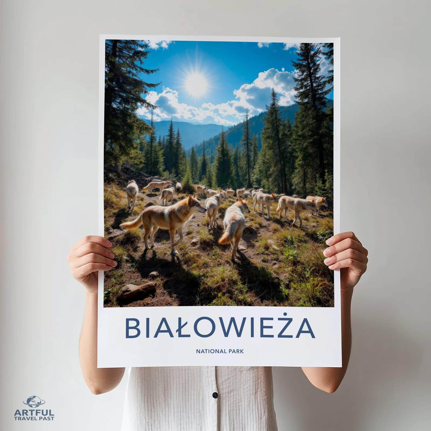 Białowieża
