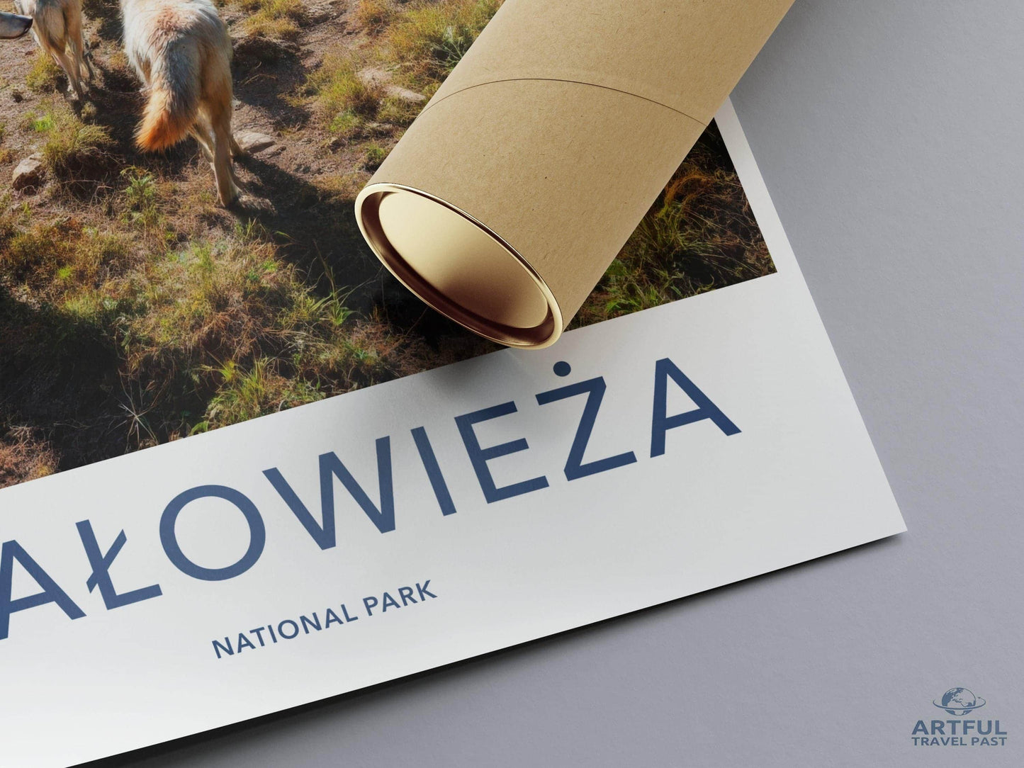 Białowieża