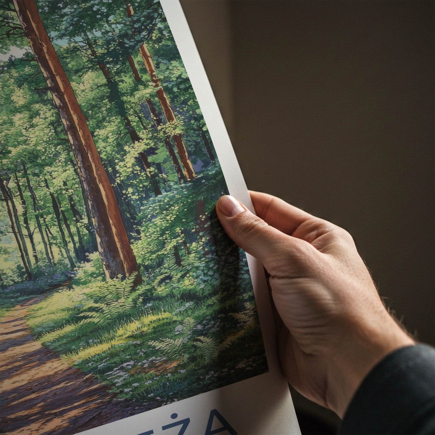 Bialowieza Poster - Poland Travel Art - Sunlit Forest Deer Home Decor