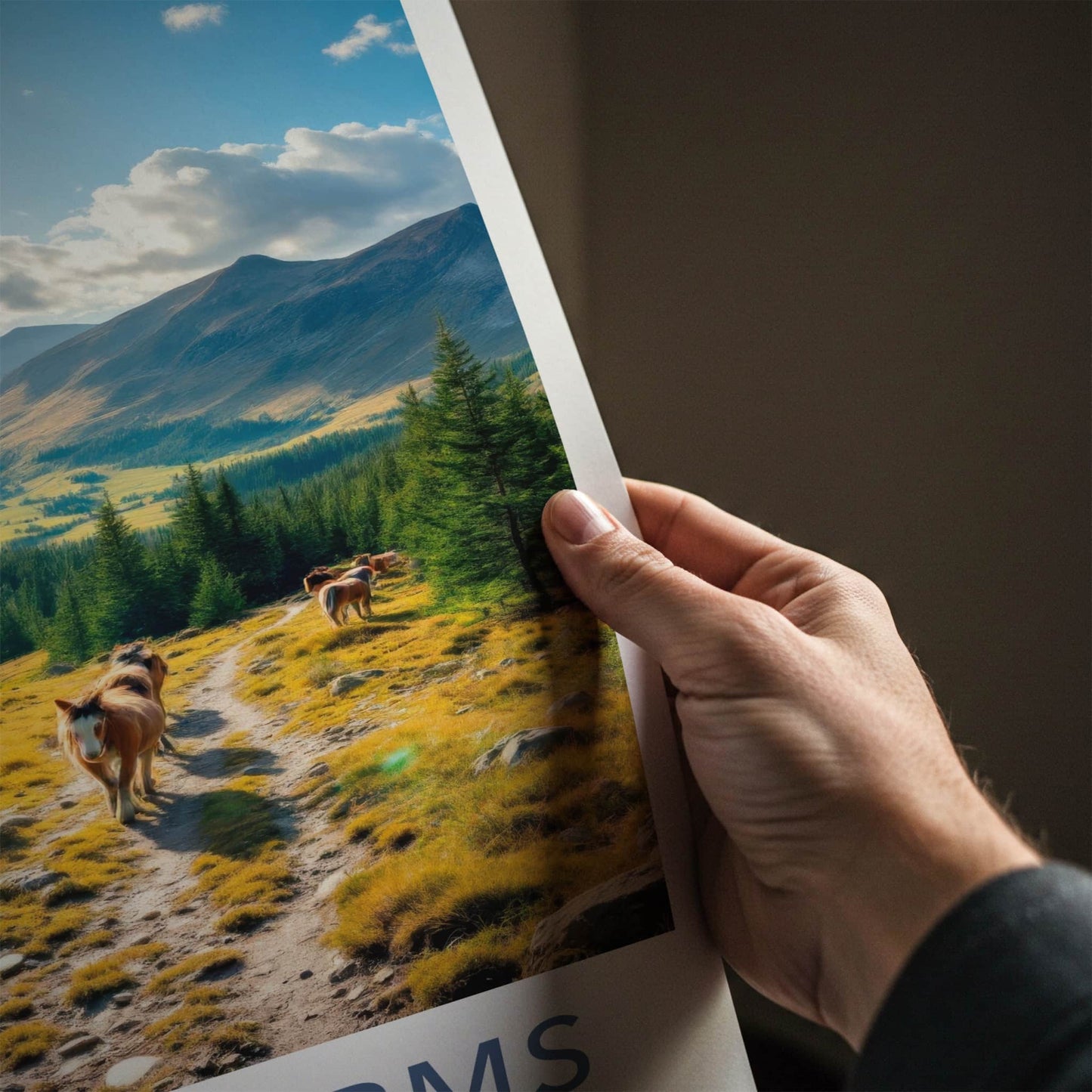 Cairngorms Poster - Scotland Travel Art - Mountain Path Horses Home Decor