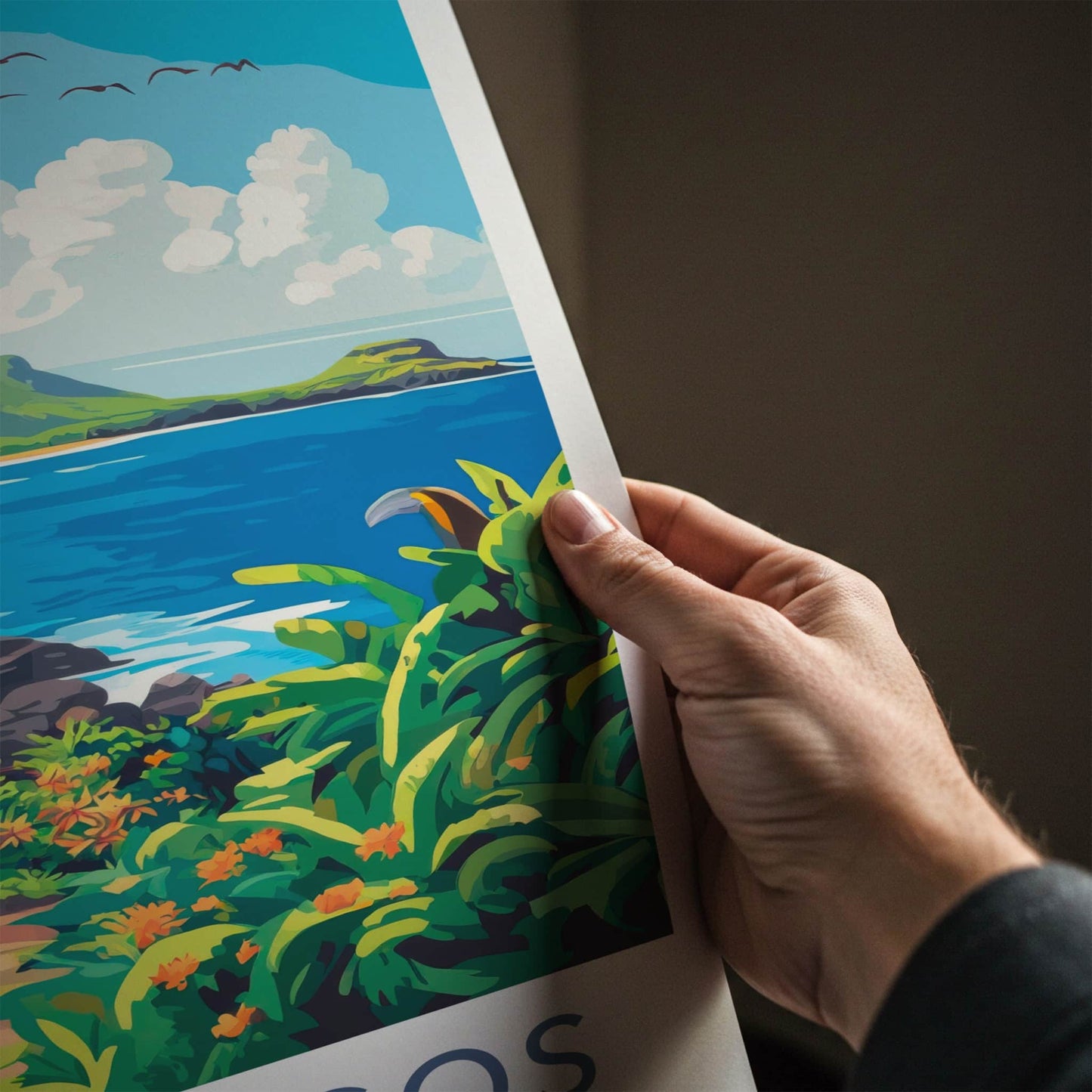 Galapagos Poster - Ecuador Travel Art - Tropical Island Bird Home Decor