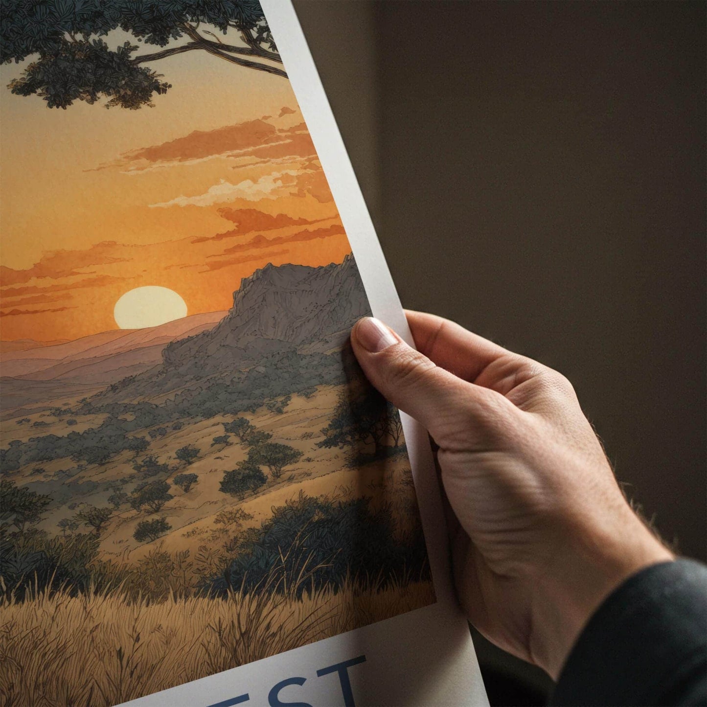 Gir Forest Poster - India Travel Art - Gujarat Lion Resting Sunset Home Decor
