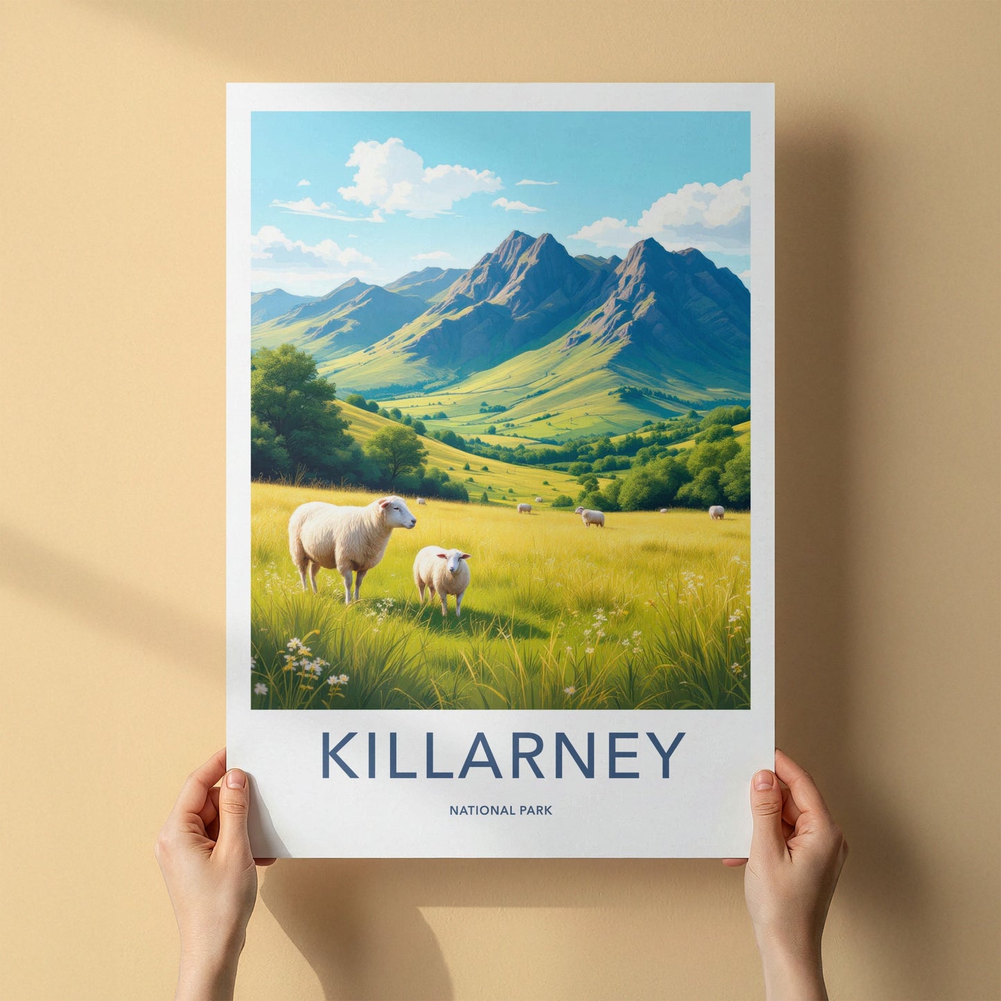 Killarney National Park Poster - Ireland Travel Art - Lush Valley Sheep Home Decor