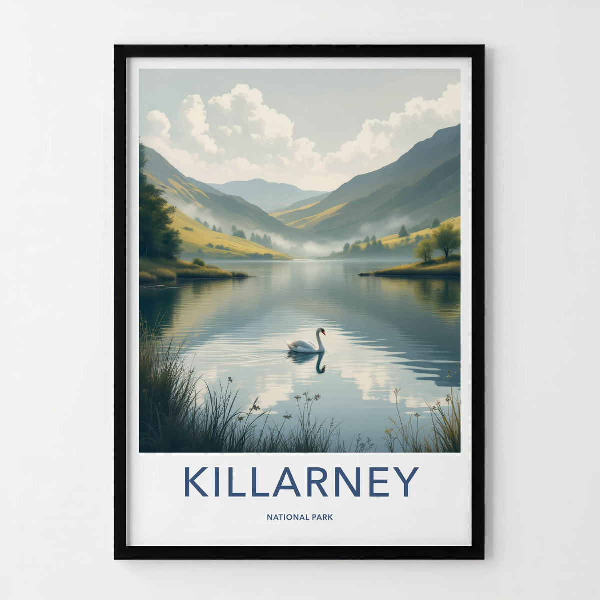 Killarney National Park Poster - Ireland Travel Art - White Swan Lake Home Decor