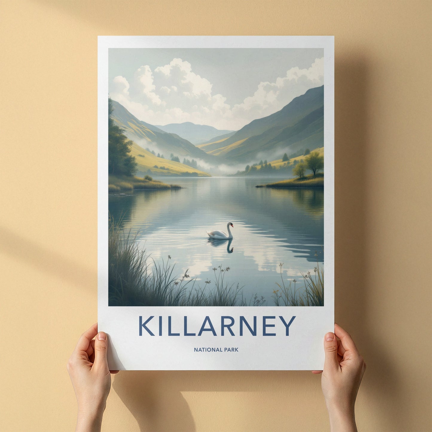 Killarney National Park Poster - Ireland Travel Art - White Swan Lake Home Decor