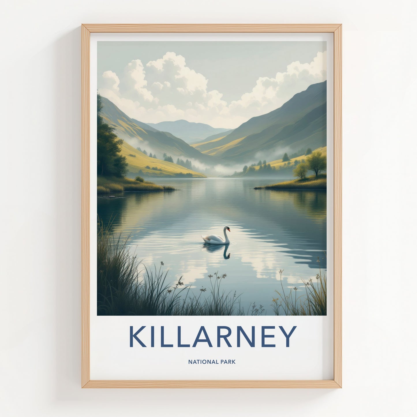 Killarney National Park Poster - Ireland Travel Art - White Swan Lake Home Decor