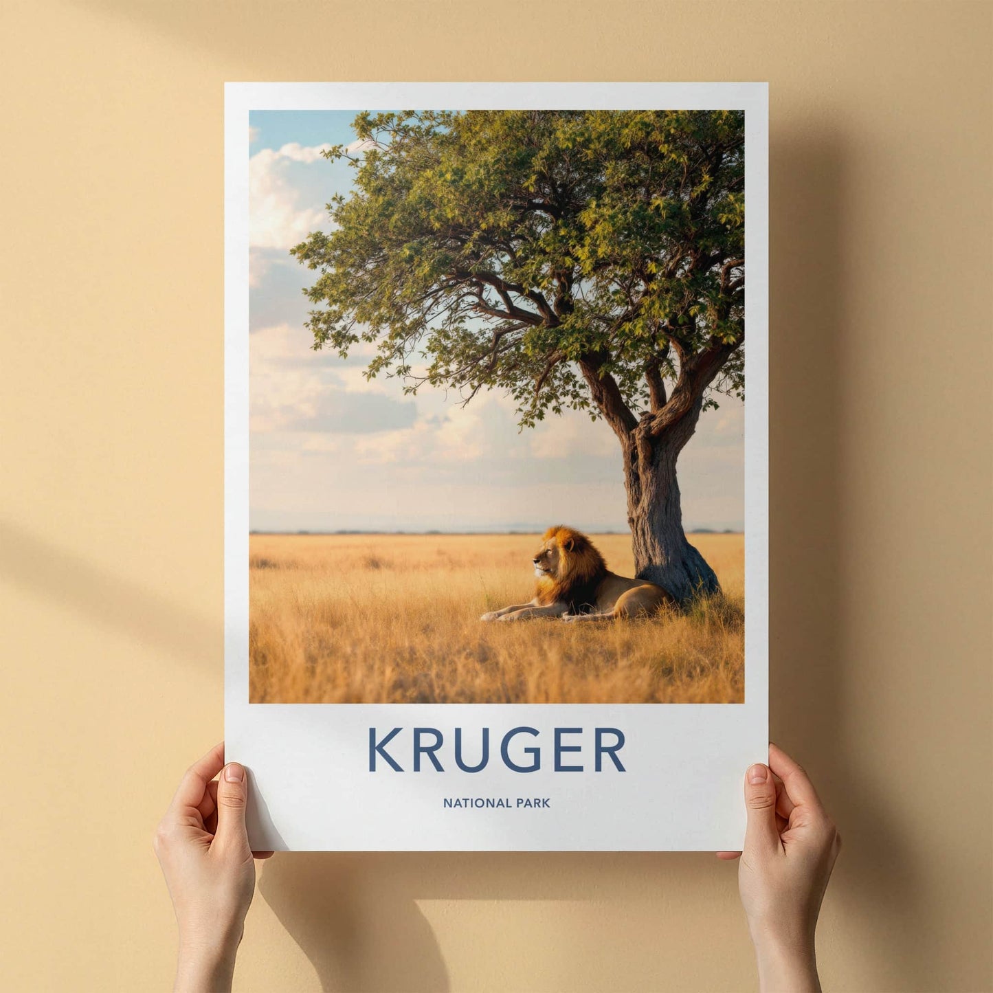Kruger National Park Poster - South Africa Art Print - Lying Lion Savanna Wall Decor