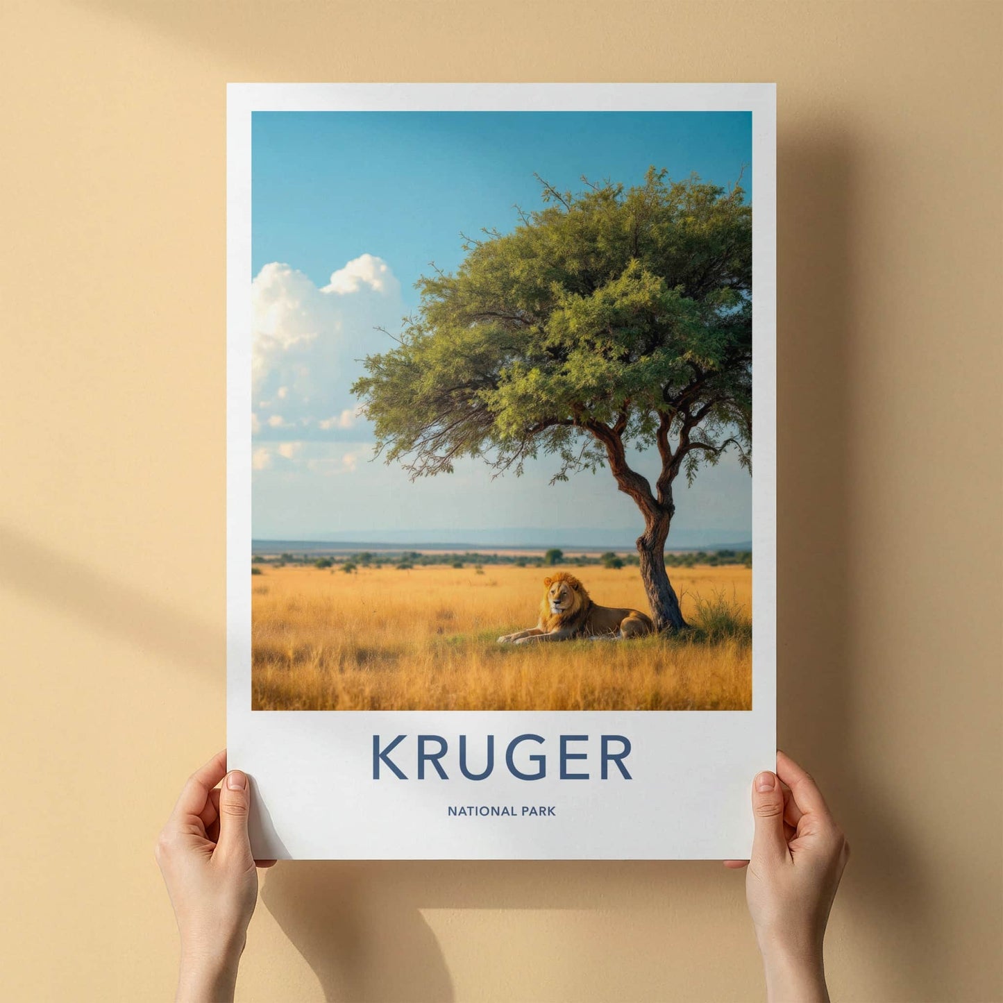 Kruger National Park Poster - South Africa Travel Art - Lion Resting Shade Home Decor