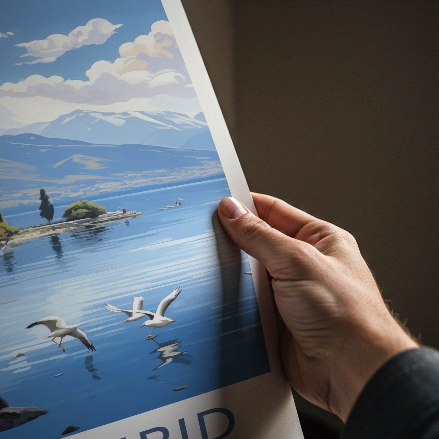 Lake Ohrid Poster - North Macedonia Travel Art - Lakeside Village Birds Home Decor