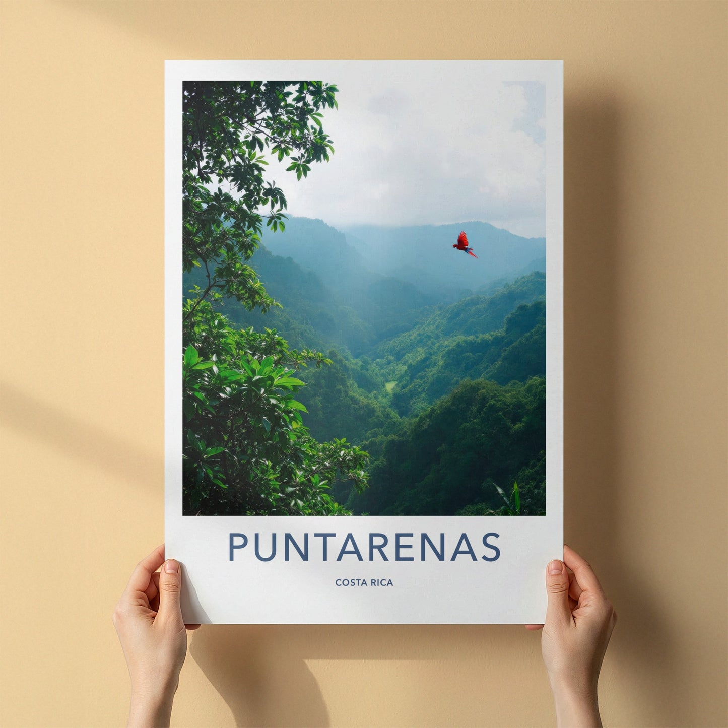 Puntarenas Poster - Costa Rica Travel Art - Vivid Macaw Valley Home Decor
