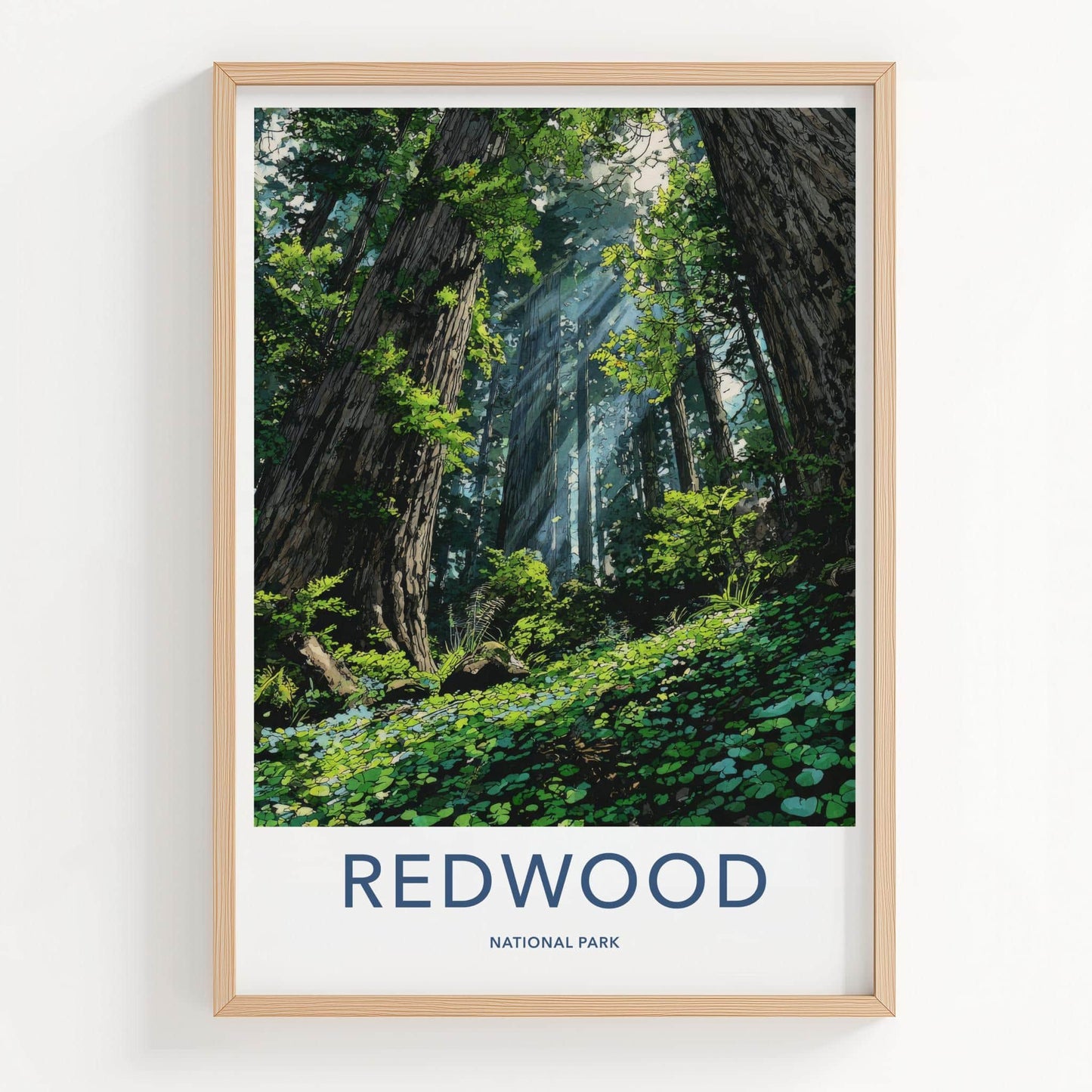 Redwood National Park Poster - California Art Print - Sunlit Forest Floor Home Decor