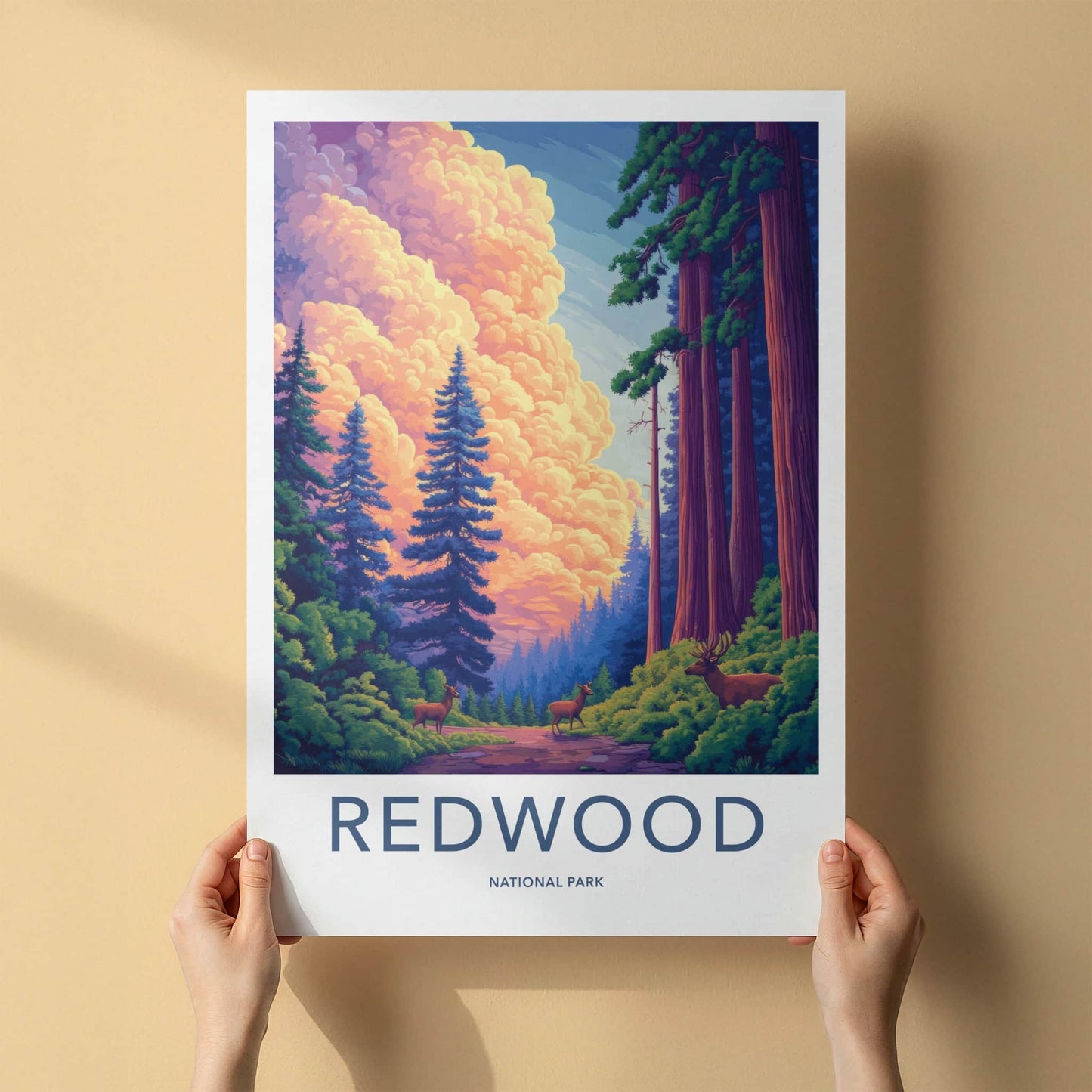 Redwood National Park Poster - California Travel Art - Deer Forest Sunset Home Decor