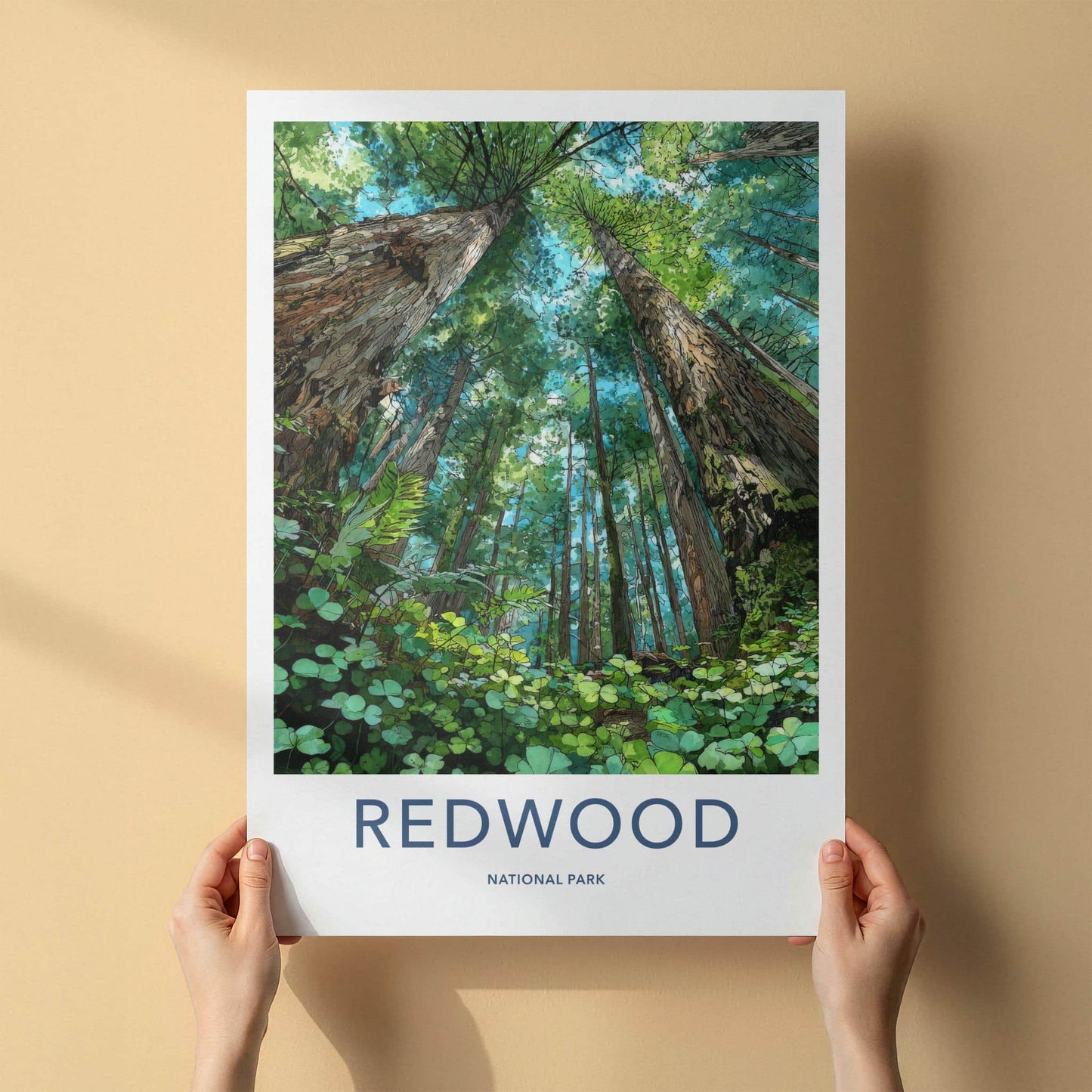Redwood National Park Poster - California Wall Art - Giant Forest View Gift
