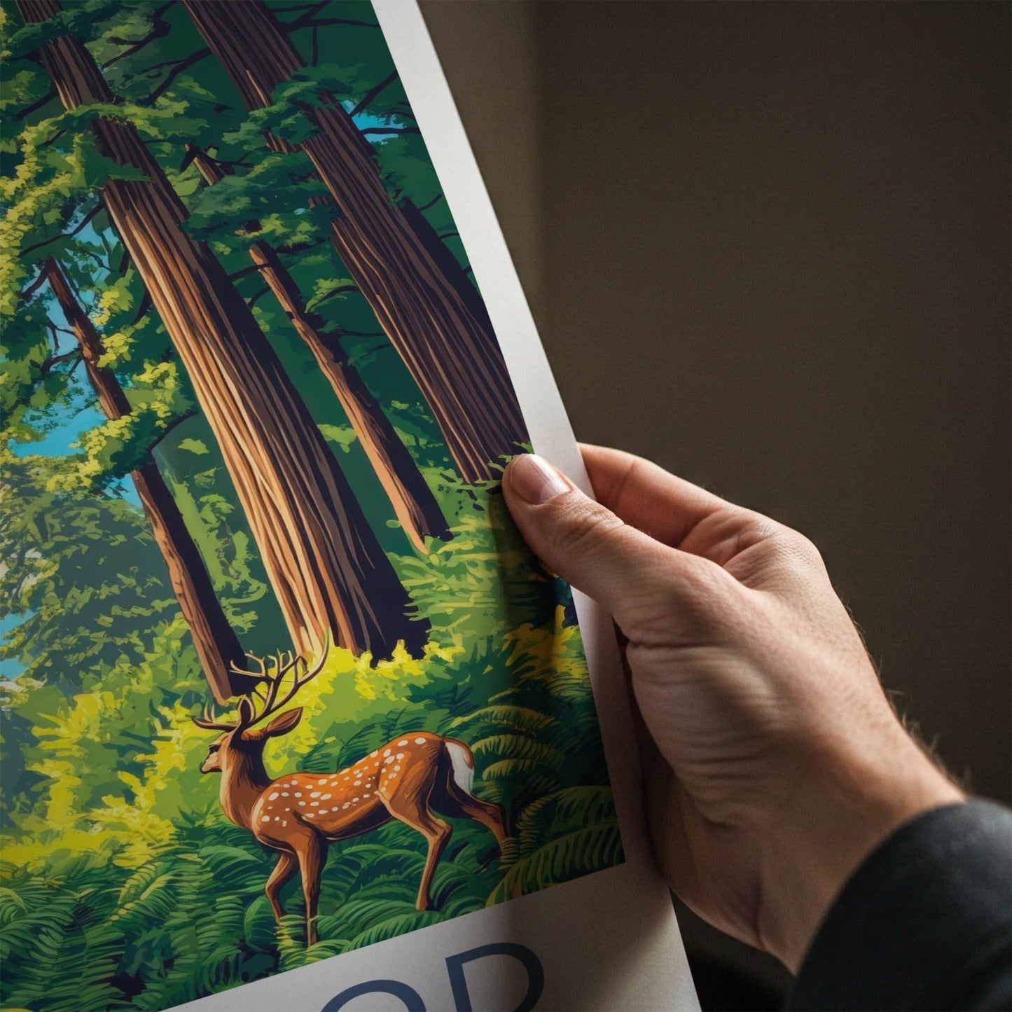 Redwood Poster - California Travel Art - Deer Redwood Forest Home Decor