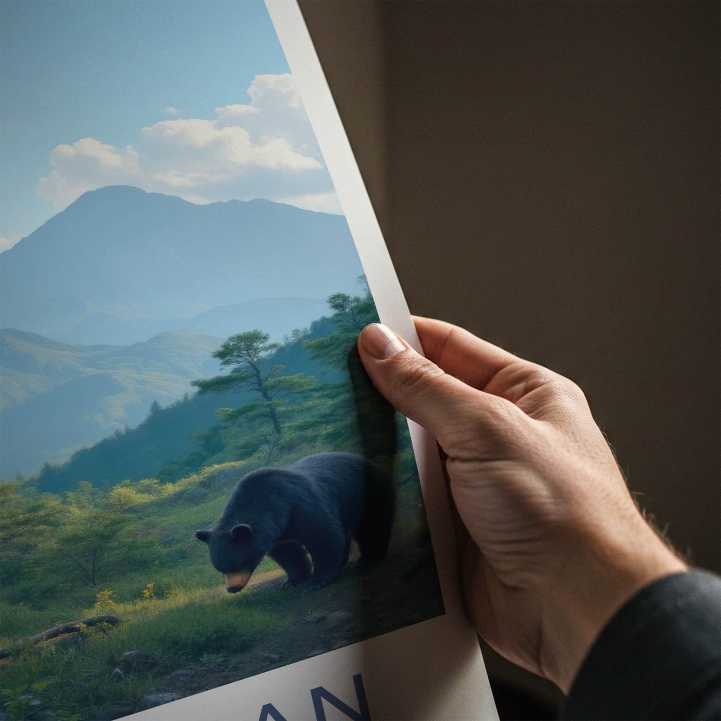 Seoraksan National Park Poster - South Korea Travel Art - Two Bears Foraging Home Decor