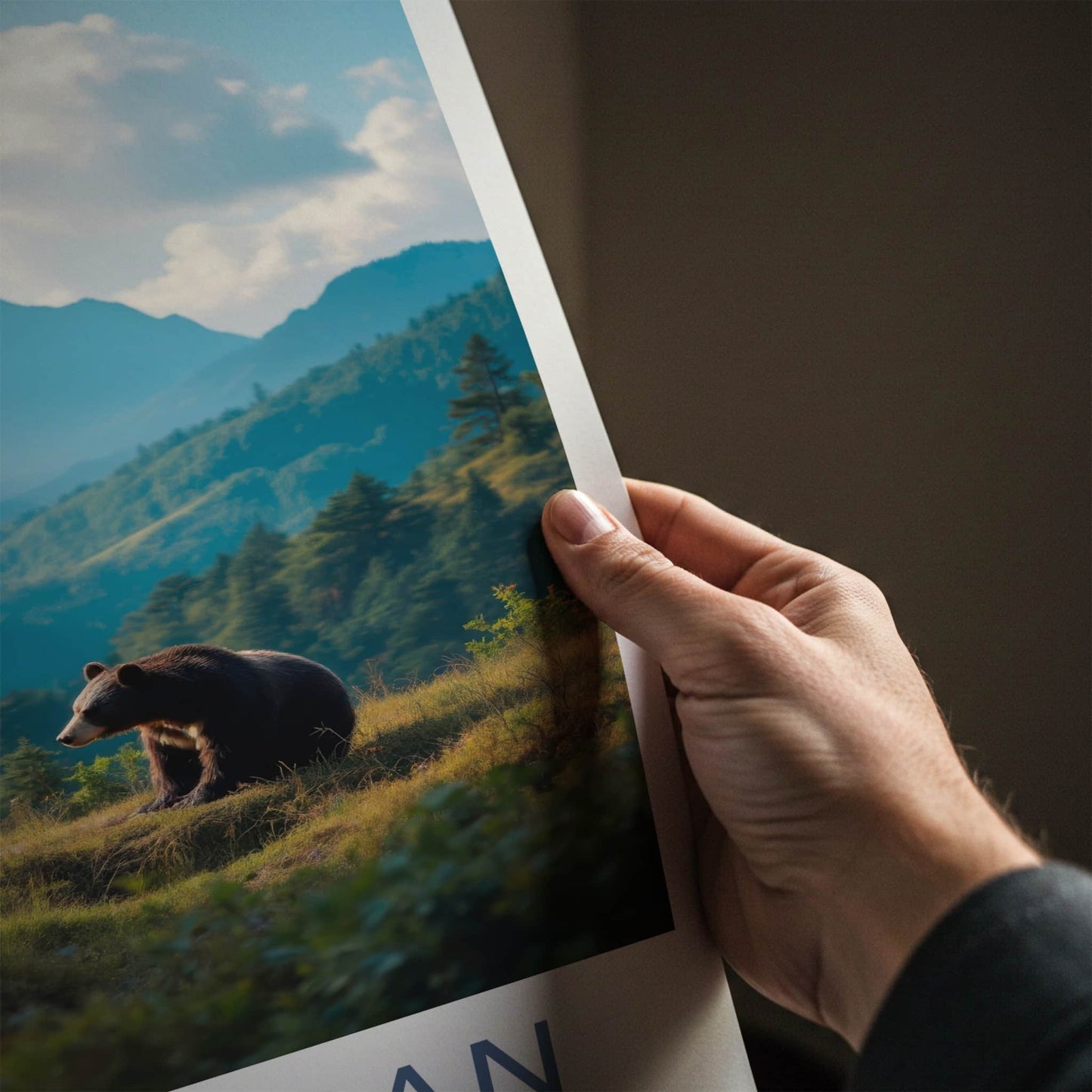 Seoraksan Poster - South Korea Travel Art - Bears Mountain Scene Home Decor