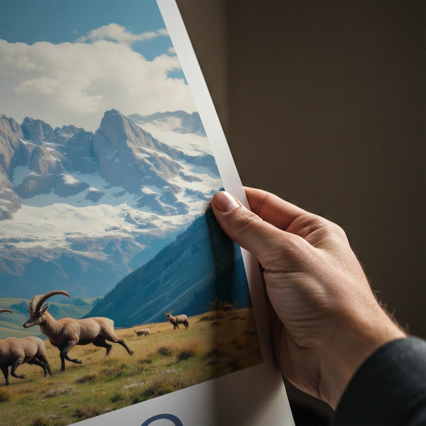 Stelvio National Park Poster - Italy Travel Art - Alpine Ibex Herd Home Decor