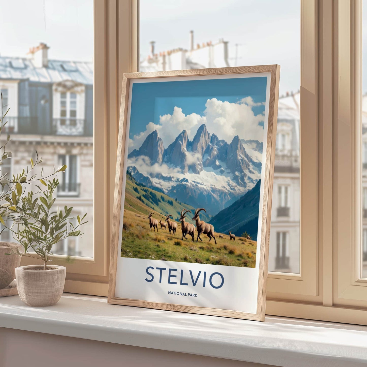 Stelvio National Park Poster - Italy Travel Art - Alpine Ibex Herd Home Decor