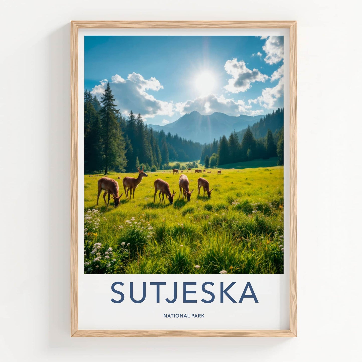 Sutjeska National Park Poster - Bosnia and Herzegovina Wall Art - Sunny Field Deer Gift