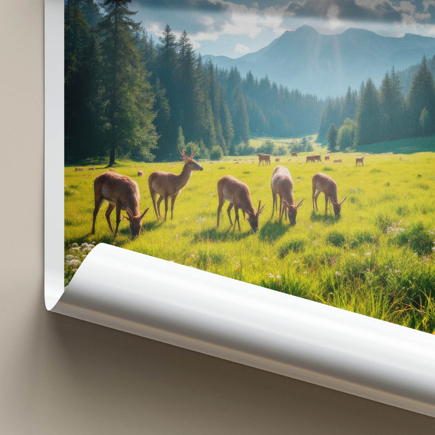 Sutjeska National Park Poster - Bosnia and Herzegovina Wall Art - Sunny Field Deer Gift