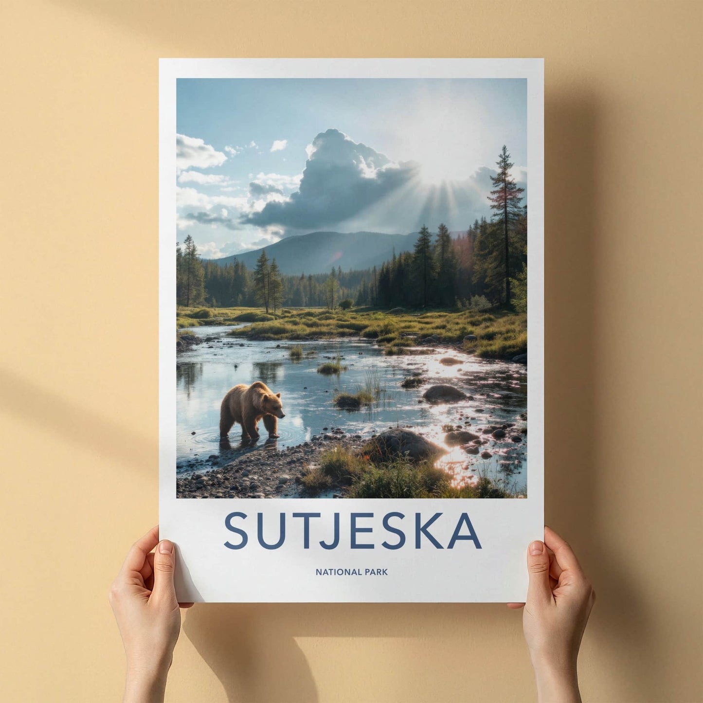 Sutjeska Poster - Bosnia and Herzegovina Travel Art - Bear Wading Stream Home Decor