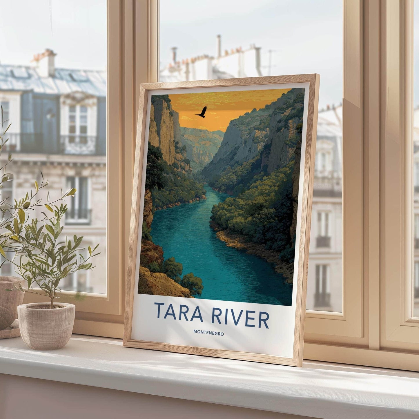 Tara River Poster - Montenegro Travel Art - Canyon River Eagle Home Decor