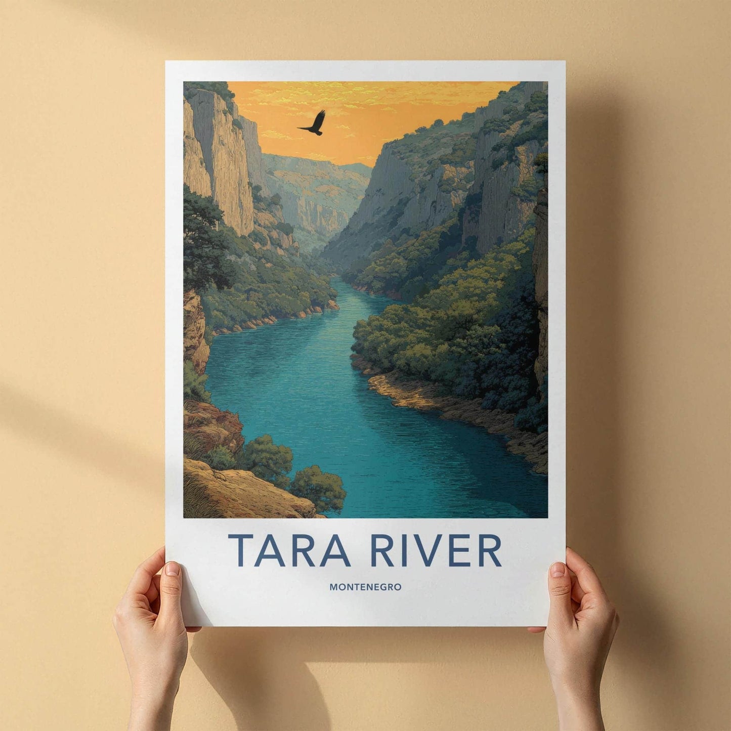 Tara River Poster - Montenegro Travel Art - Canyon River Eagle Home Decor