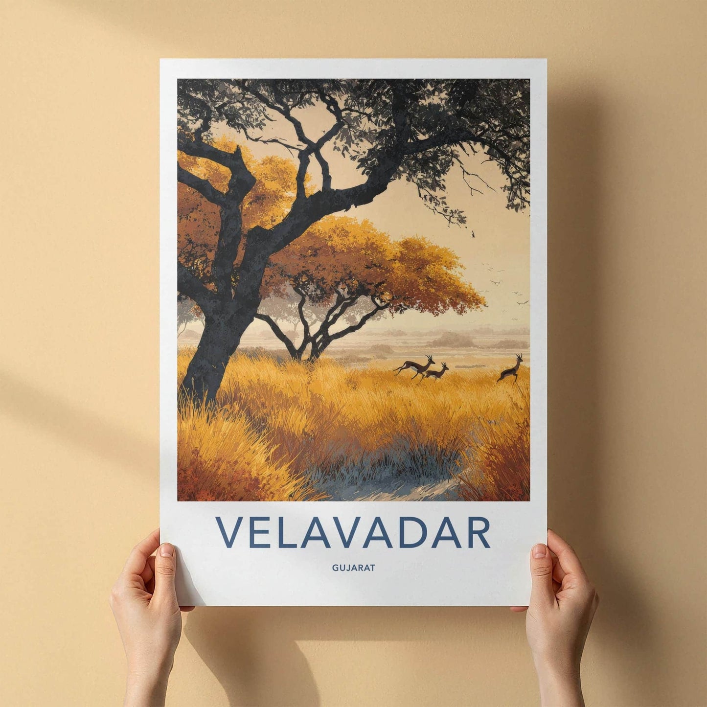 Velavadar Poster - India Travel Art - Gujarat Golden Grass Home Decor