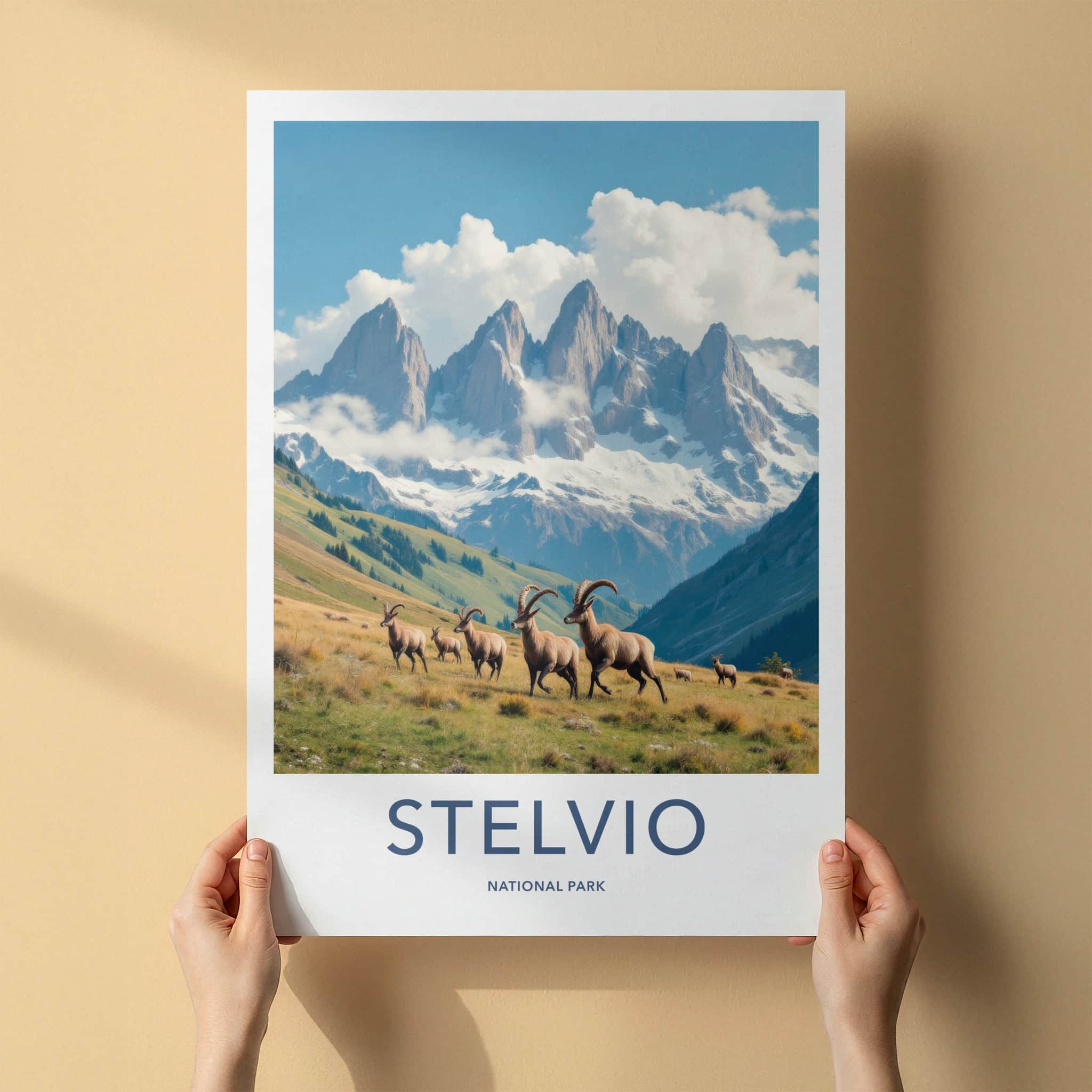 Stelvio National Park Poster - Italy Travel Art - Alpine Ibex Herd Home Decor