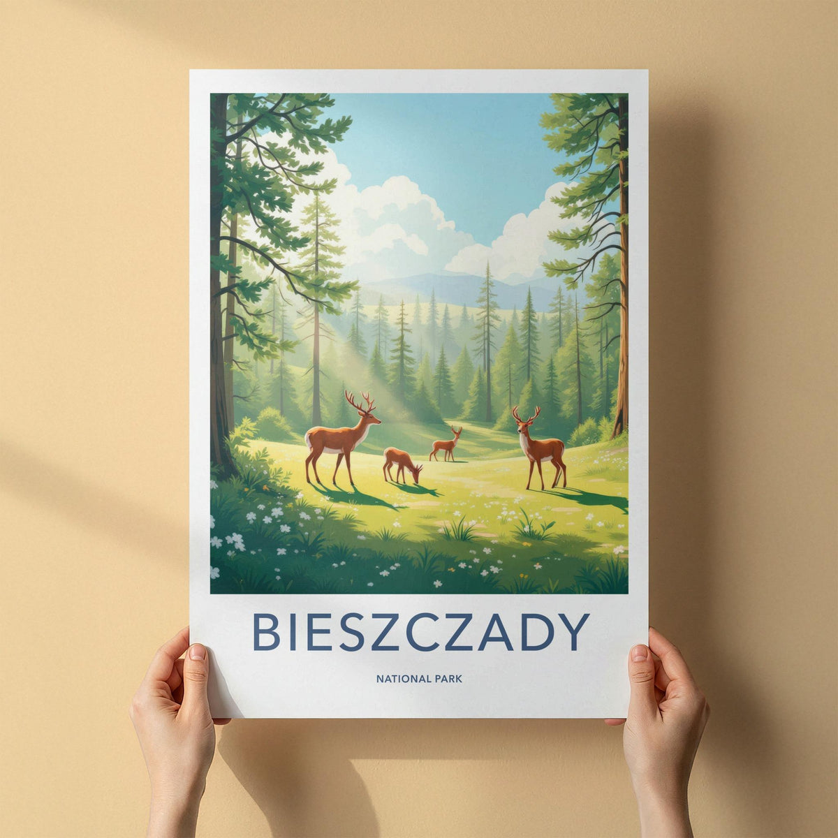 Bieszczady National Park Poster - Scenic Forest Artwork & Rustic