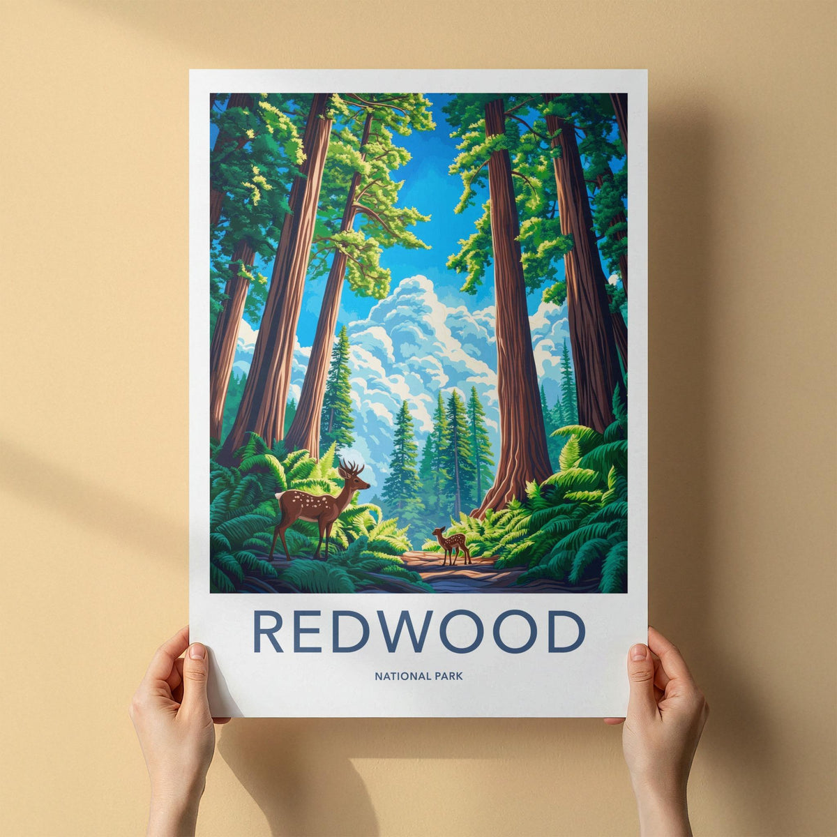 Redwood National Park Poster - Scenic Nature Print With Ancient