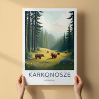 Karkonosze National Park Poster - Brown Bear Artwork & Forest