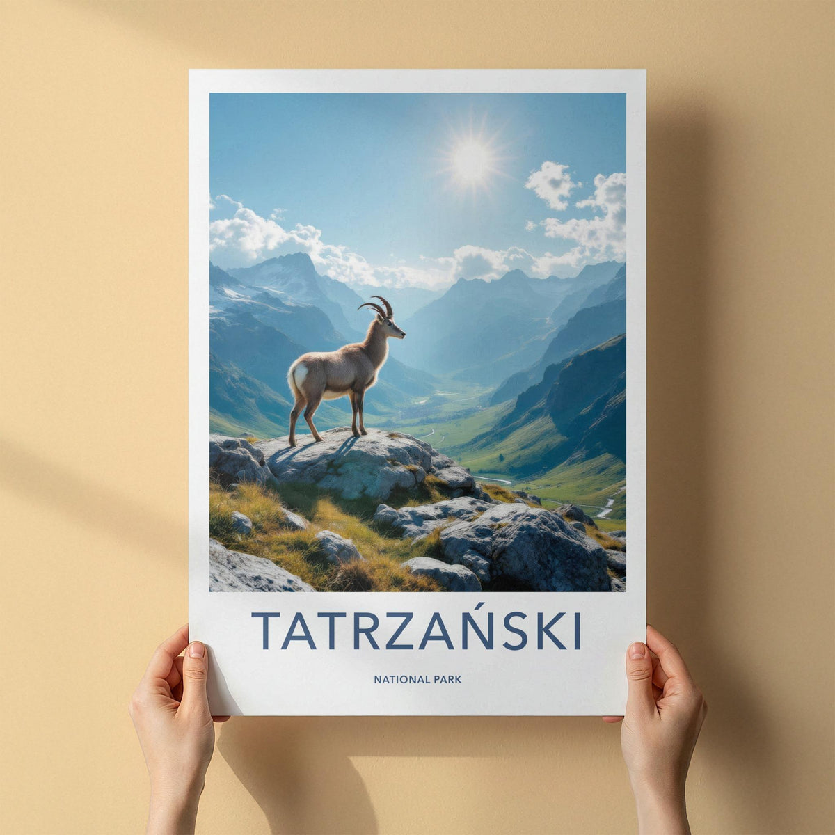 Tatrzański National Park Poster - Scenic Travel Poster & Mountain