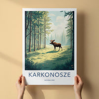 Karkonosze National Park Poster - Scenic Woodland Art & Poland Wall
