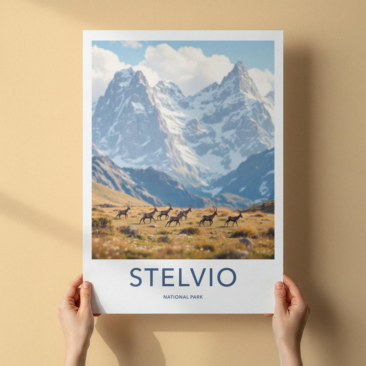 Stelvio National Park Art - Italian Alps Wall Art