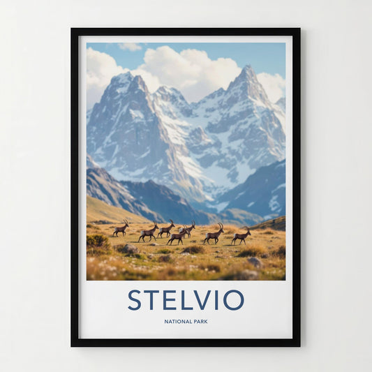 Stelvio