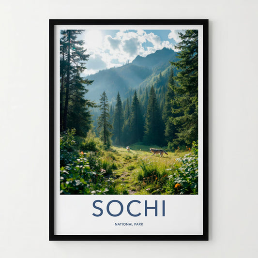 Sochi
