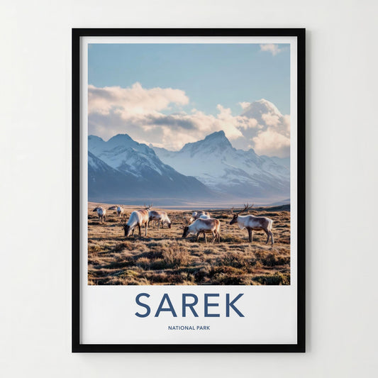 Sarek