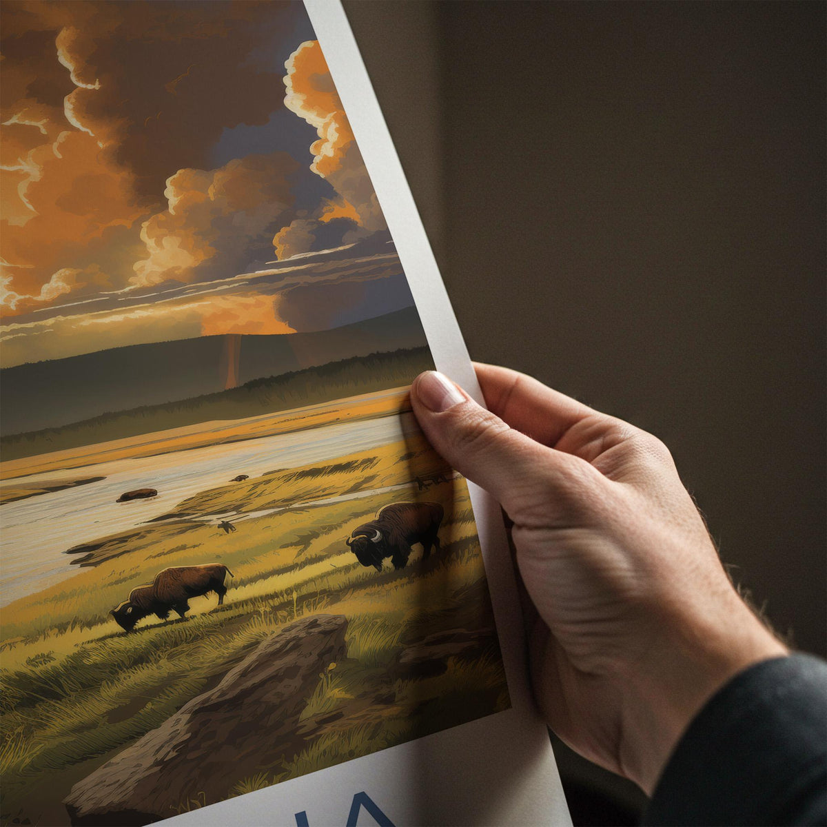 Montana Poster - Bison Wall Art