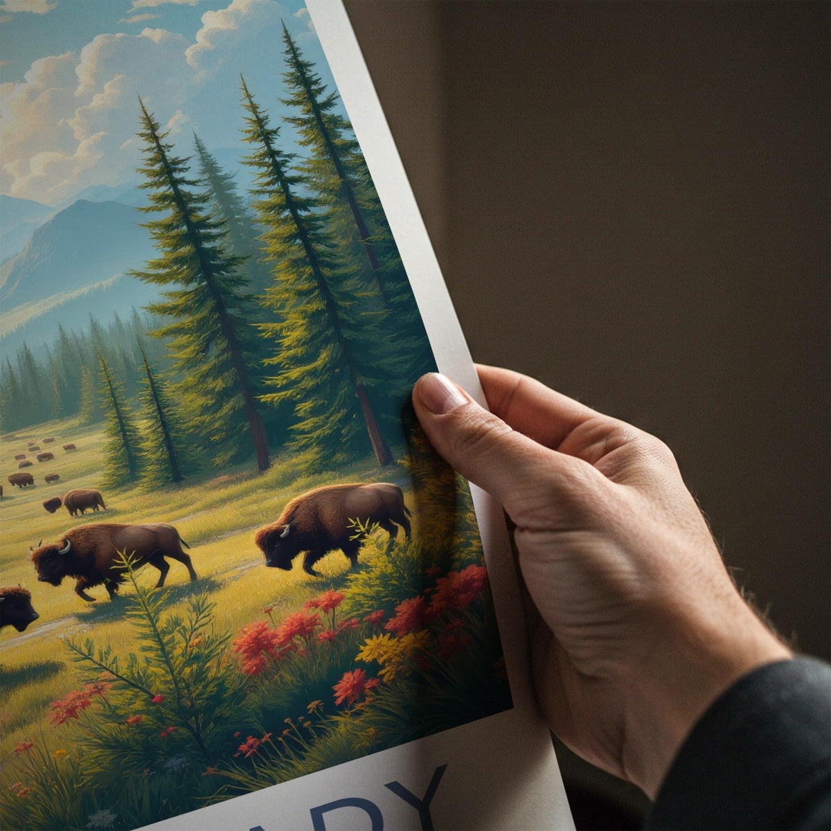 Bieszczady National Park Poster - Scenic Poland Landscape Print