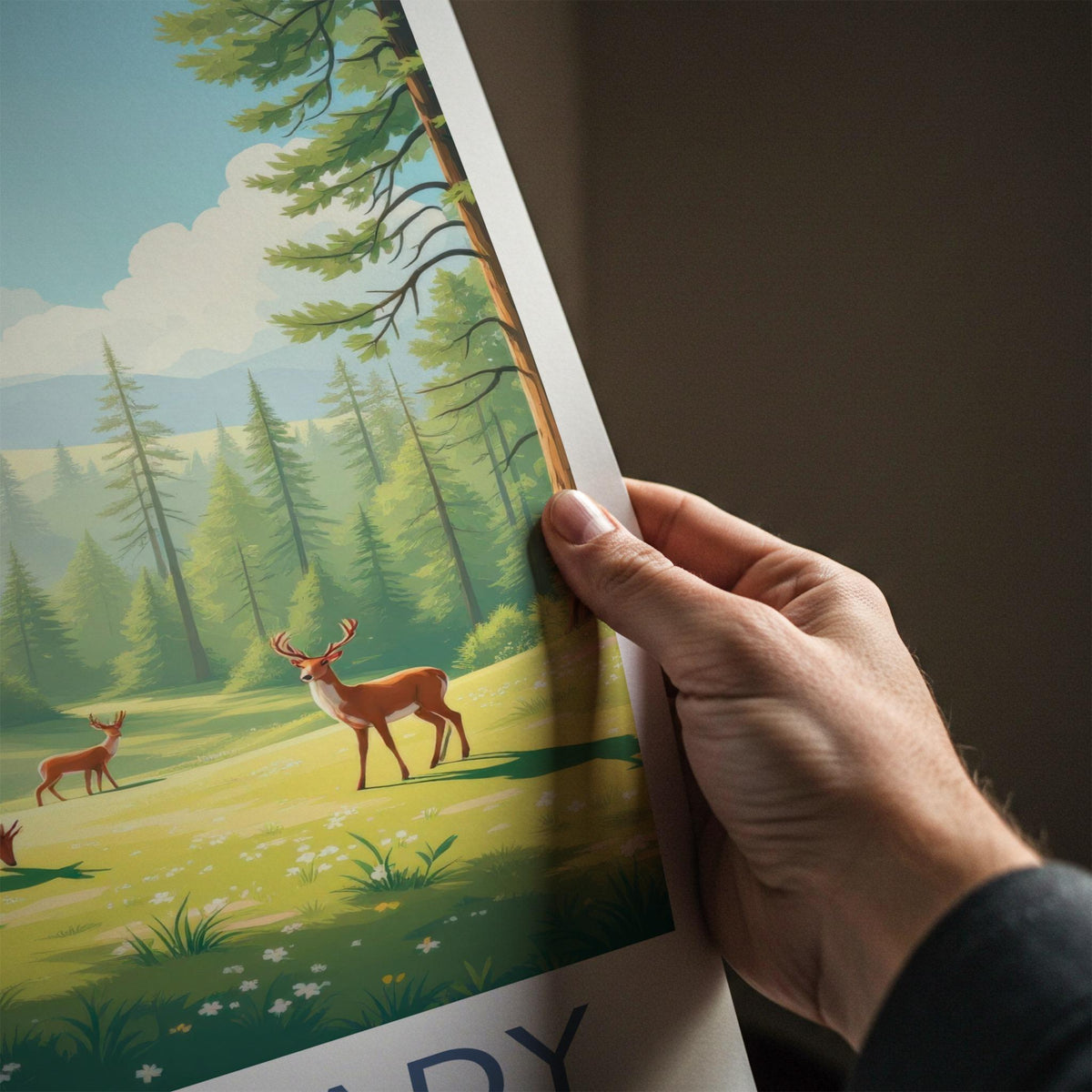 Bieszczady National Park Poster - Scenic Forest Artwork & Rustic