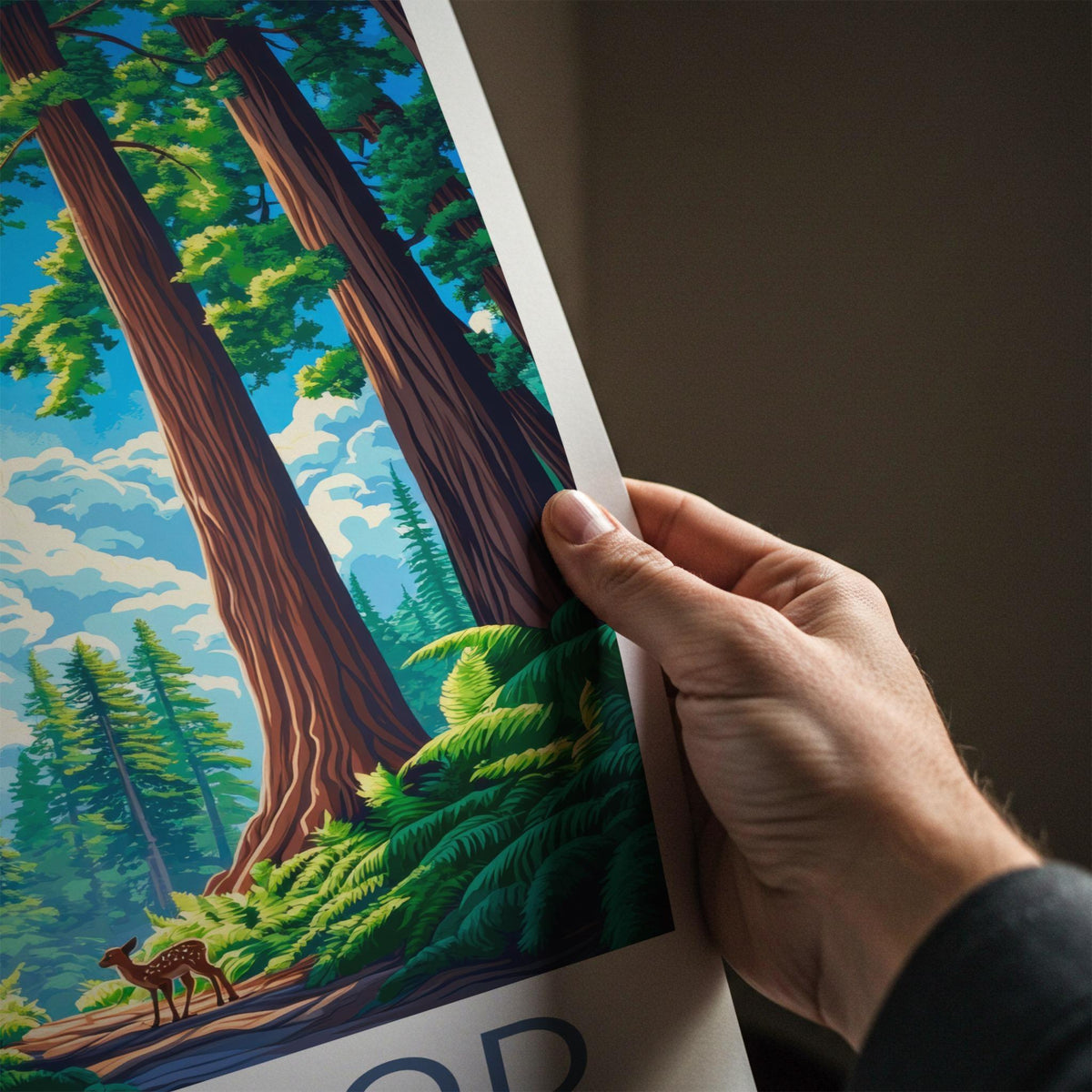 Redwood National Park Poster - Scenic Nature Print With Ancient