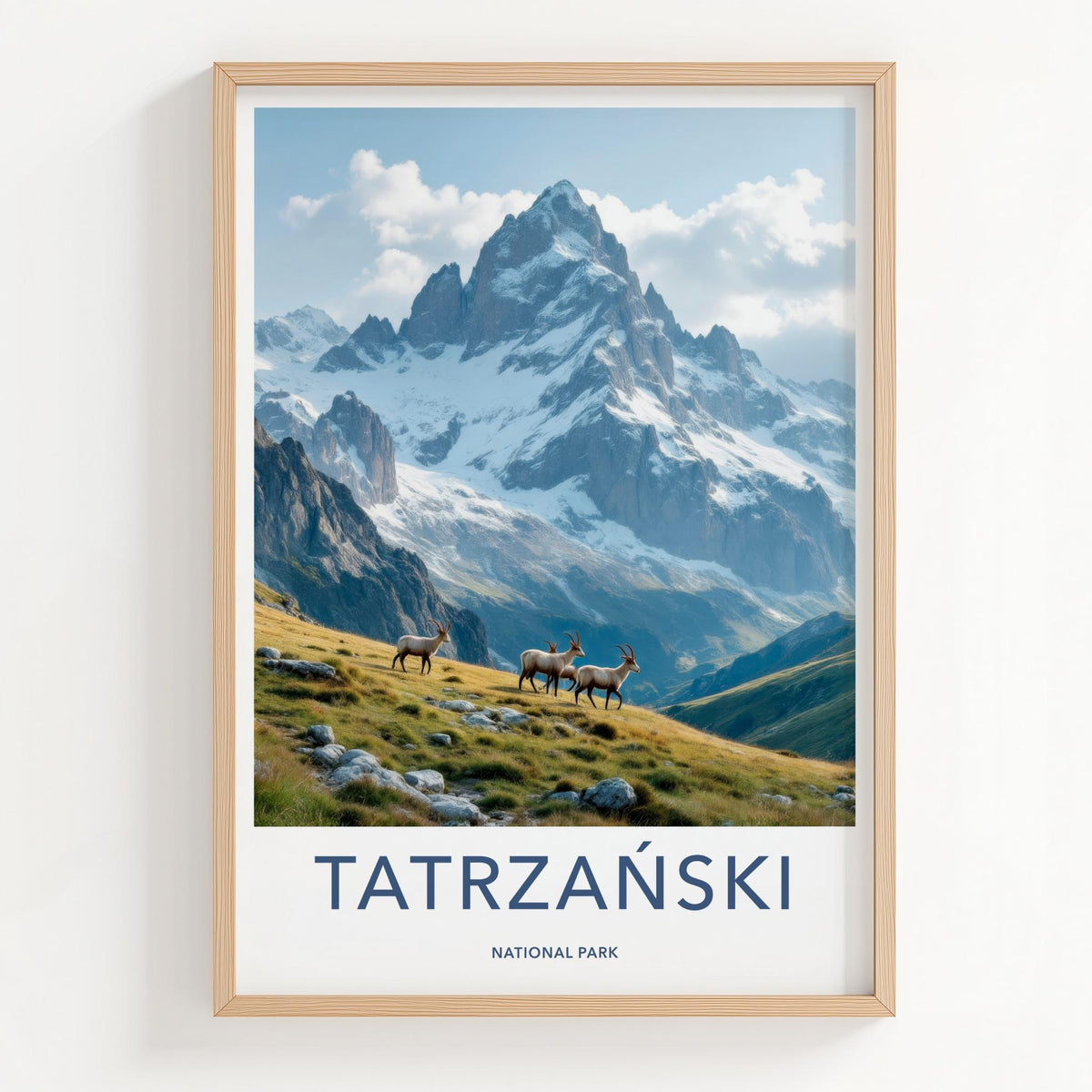 Tatra National Park Poster - Alpine Landscape Print & Wildlife Wall