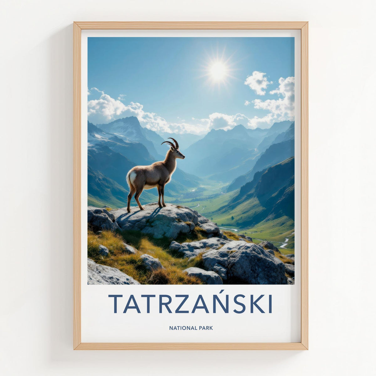 Tatrzański National Park Poster - Scenic Travel Poster & Mountain