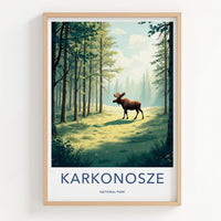 Karkonosze National Park Poster - Scenic Woodland Art & Poland Wall