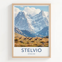 Stelvio National Park Art - Italian Alps Wall Art