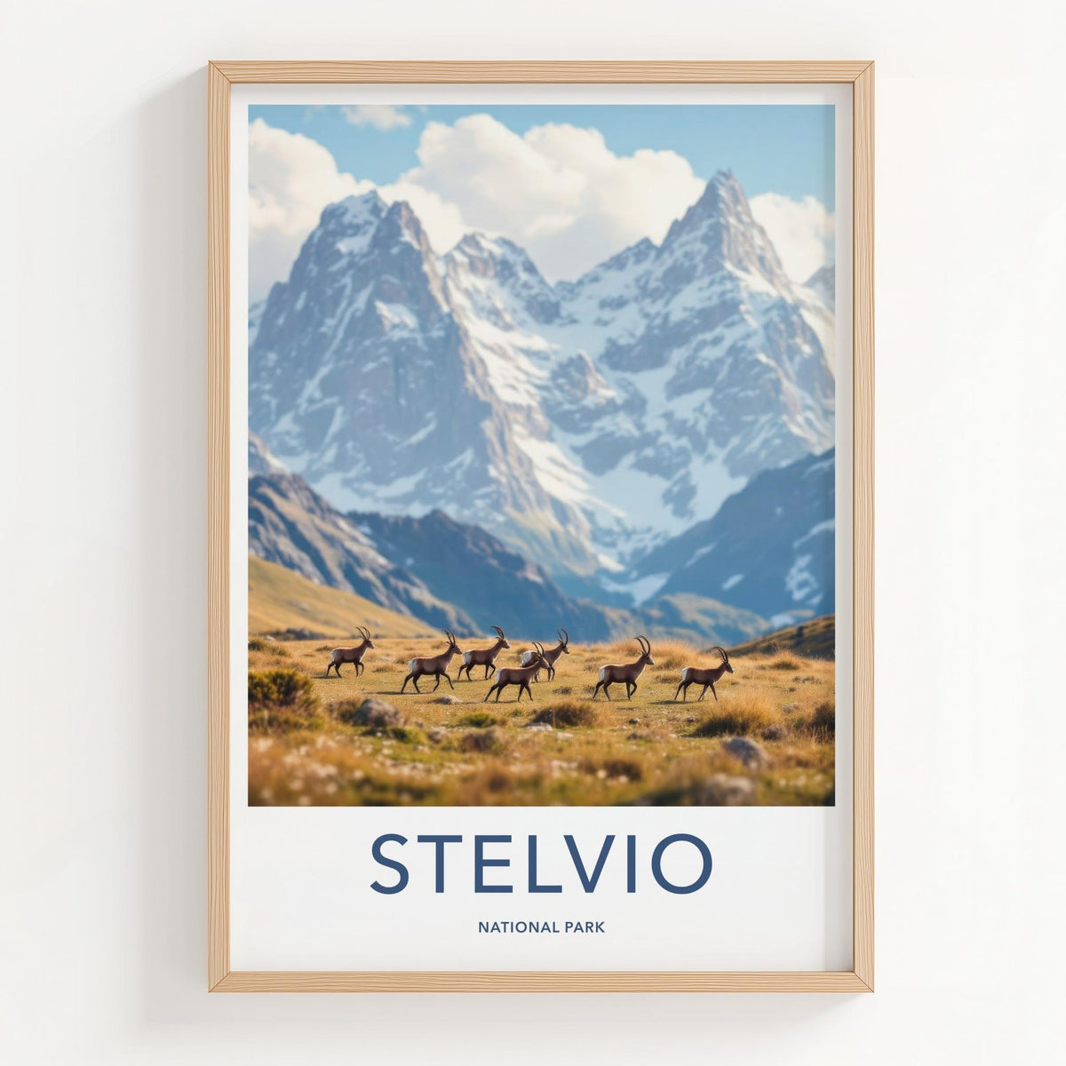 Stelvio National Park Art - Italian Alps Wall Art